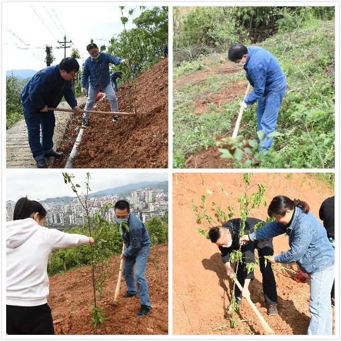 1586500658914984.jpg 植树1.jpg